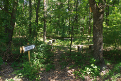 Waldblick am Eisenberg Waldblick am Eisenberg